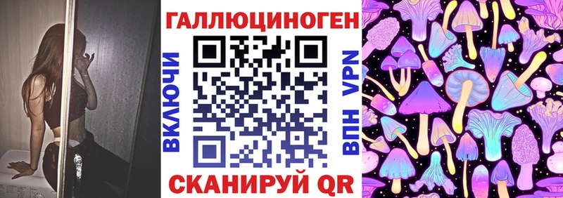 закладки Сосногорск Псилоцибиновые грибы Psilocybe